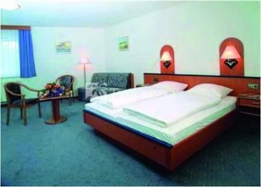 Hotel Am Park Rust 4*