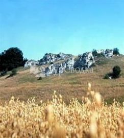 Landgasthof Sontheimer Wirtshausle 3*