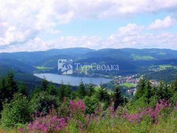 Hotel Restaurant Alemannenhof Titisee-Neustadt 4*