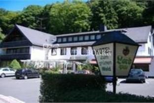Hotel Zum Grunen Wald Villmar 3*