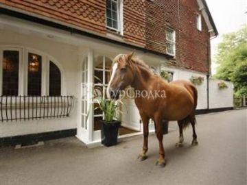 Moorhill House Hotel Burley (England) 3*