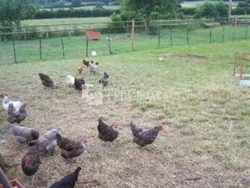 Embrea Bed & Breakfast Devizes 4*