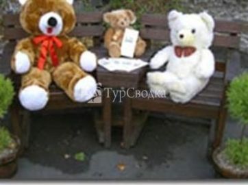 Cambrian Guest House & Tea Rooms 3*