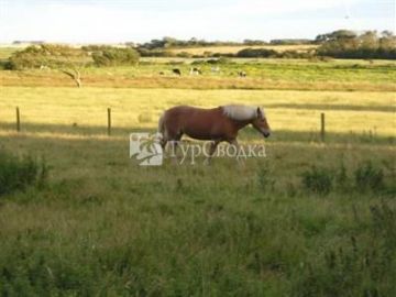 Black Combe House Kirksanton Millom 3*