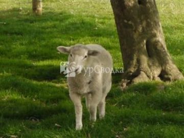 Elberry Farm Bed & Breakfast 3*