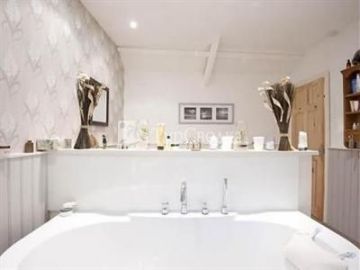 Woodpeckers 4*