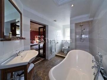 The Swan Hotel Staines 3*