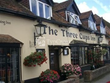The Three Cups Inn 3*