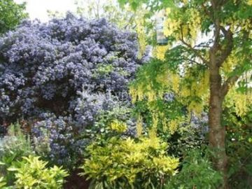 Pink House Bed and Breakfast Weymouth 4*