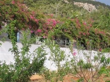 Pine Tree Studios Karpathos 1*