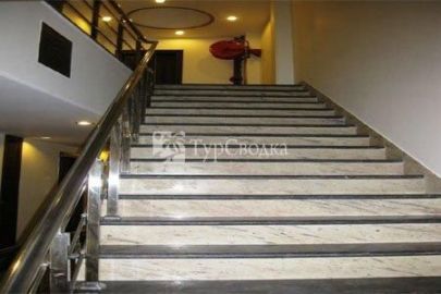 Hotel Alpine Tree New Delhi 3*