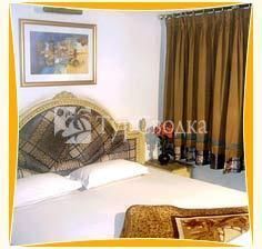 Hotel Sunshine New Delhi 1*