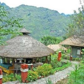 The Chardham Camp Joshimath 2*