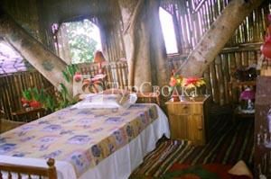 Chamundi Hill Palace Ayurvedic Resort 1*