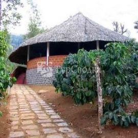 Misty Woods Resort Madikeri 1*