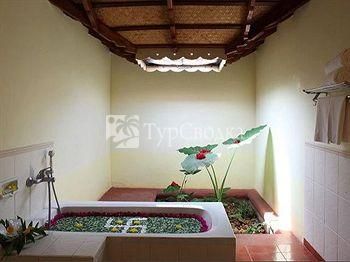 Indus Valley Ayurvedic Centre Resort Mysore 2*