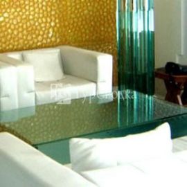 Hotel Ashiana Regency 3*