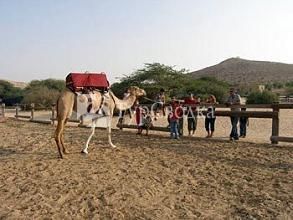 Guest House Negev Camel Ranch Dimona 1*