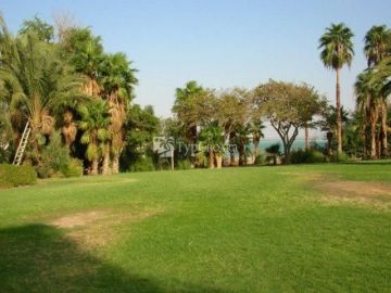 Tulip Inn Dead Sea 3*