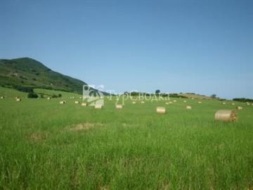 La Camilla Camere & Wellness 3*