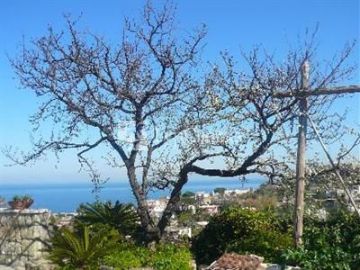 Hotel Country Club Casamicciola Terme 3*