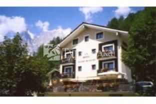 Hotel Vallee Blanche 3*