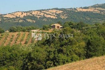 Ecoazienda Terre Brune Farmhouse Roccalbegna Grosseto 3*