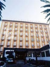 Albergo delle Palme 4*