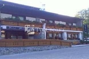 Hotel Capriolo Madesimo 3*