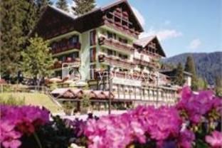 Hotel Splendid Pinzolo 3*