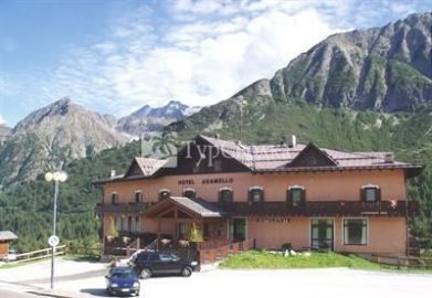 Hotel Adamello Ponte di Legno 3*