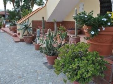 Damanse Hotel Ricadi 3*