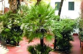 Hotel Apollo Viareggio 2*