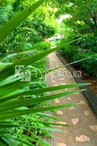Samsara Resort Negril 3*