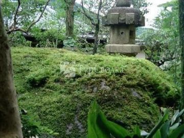 Shunkoso Hotel Hakone 3*