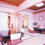 Hotel Sakurai 3*