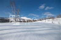 Freedom Inn Kutchan 3*