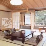 Kurobe View Hotel 3*