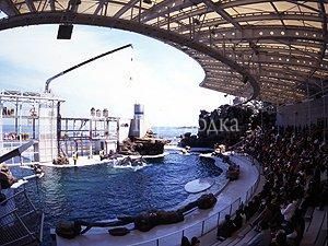 Hotel Kinparo 5*