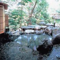 Hotel Shirogane Yamanouchi 3*