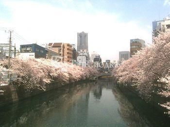 Yokohama Sakuragicho Washington Hotel 3*