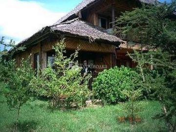 Mara Simba Lodge 4*