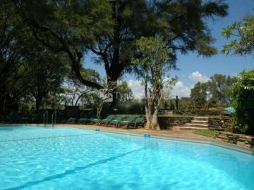 Samburu Serena Safari Lodge 4*