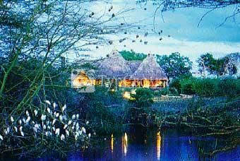 Finch Hattons Safari Camp 5*