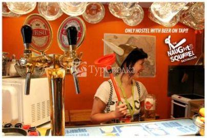 Argonaut & The Naughty Squirrel Backpackers Hostel Hotel Riga 1*