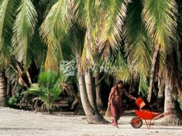 HappyLife Maldives Safari Lodge 3*