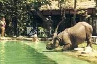 Machan Wildlife Resort Kathmandu 2*
