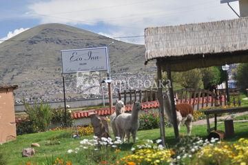 Eco Inn Puno Titicaca Lake 3*