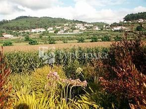 Quinta Do Bento Novo Hotel Viana do Castelo 4*