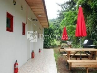 Dreaming Forest Hotel 1*